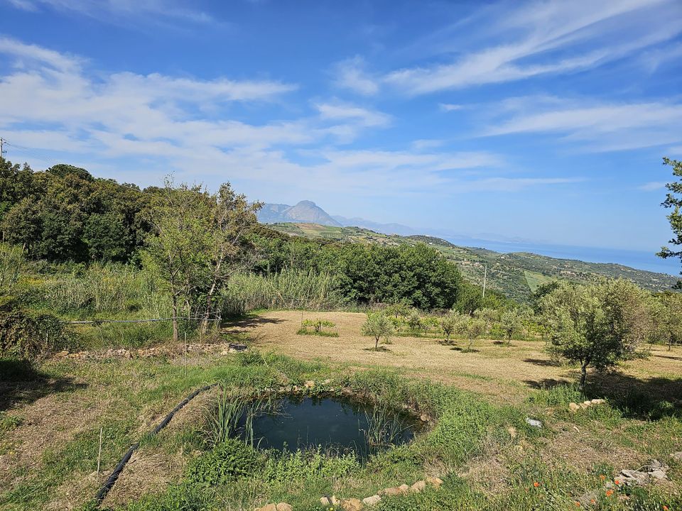 Terra a Collesano, Palermo - foto 3